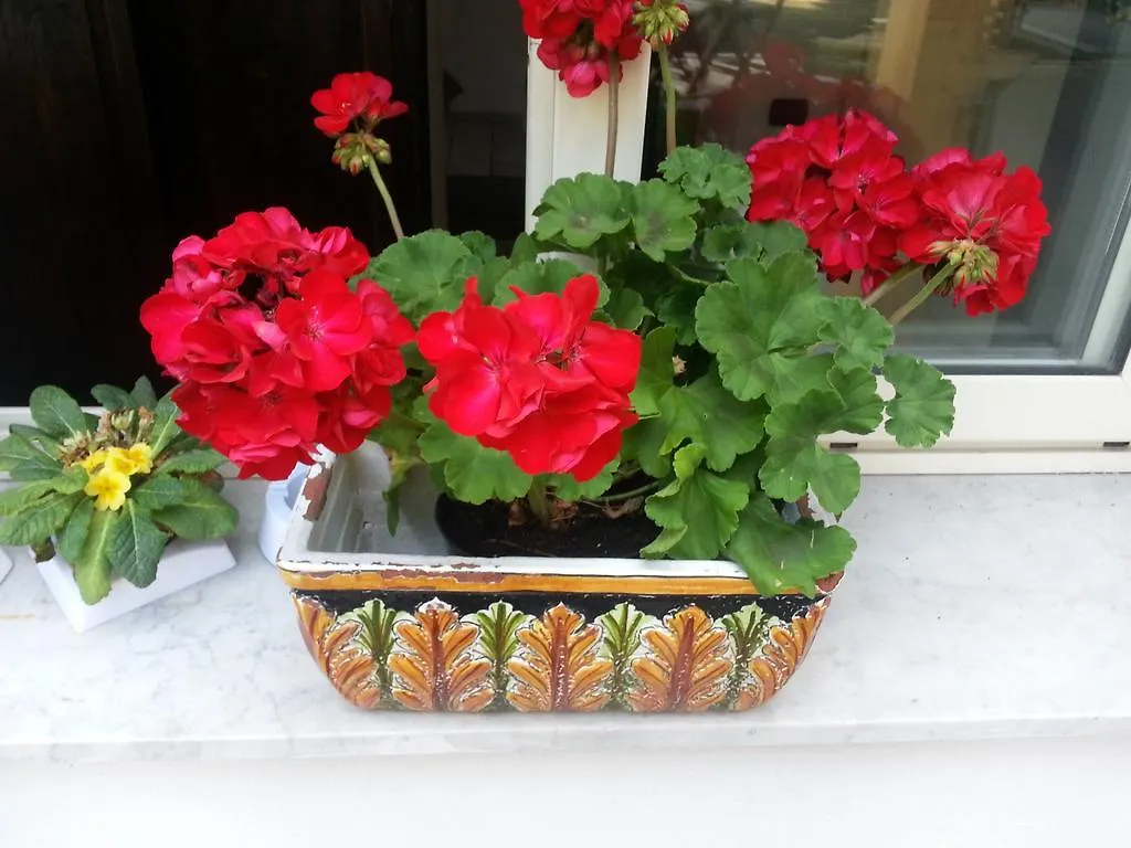 La Casa Di Luigi Bed & Breakfast Catania